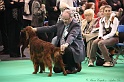 Crufts2011 786